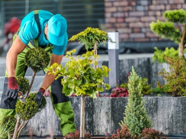 manutenzione dei giardini